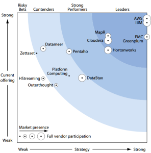 Forrester Wave Report for Enterprise Big Data