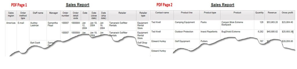 printable report unformatted