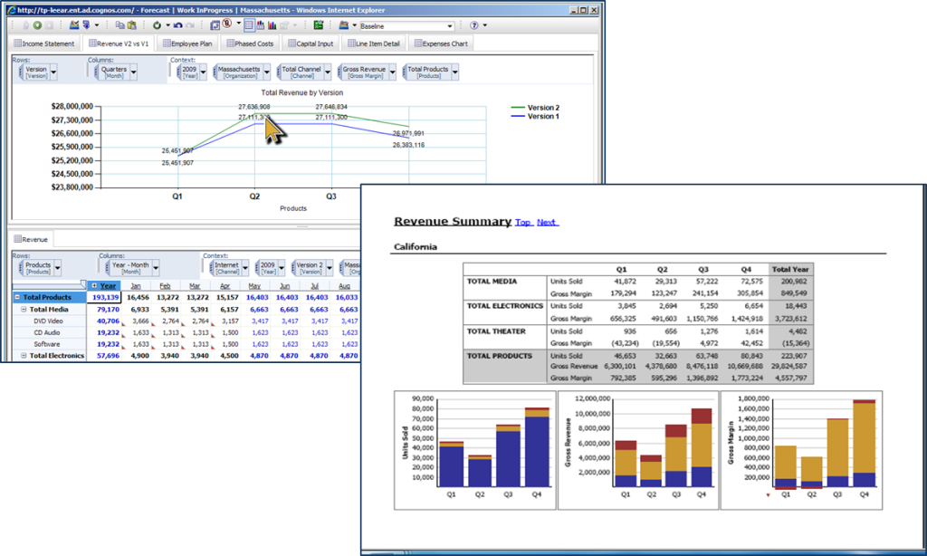 TM1 report example