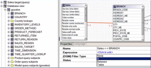 Filter Join Optimization in Framework Manager – Filter Types