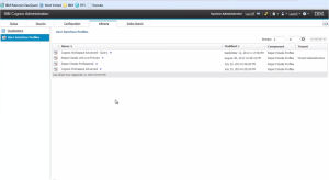 Custom Interface Profiles section in Cognos Administration