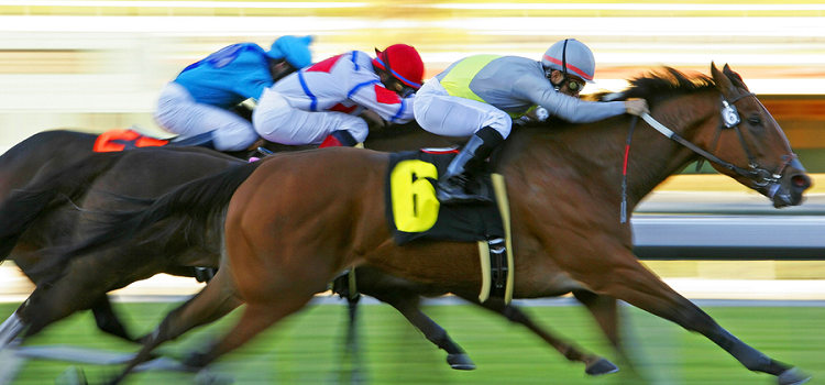 Horserace at the finish line, blurred image to show speed