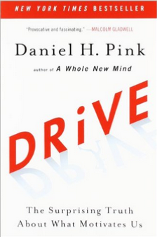 book recommendations 3 - Drive