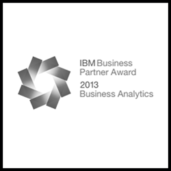 2013 IBM Business Analytics Business Partner Award