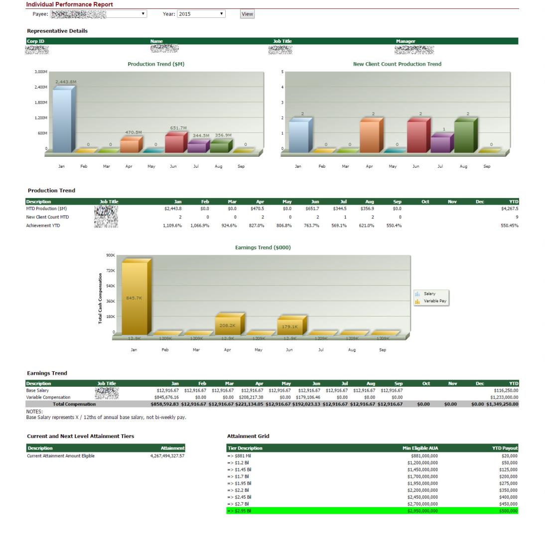 Individual Performance Report Example