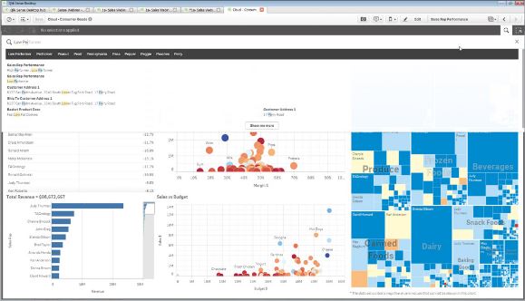 BI tools Qlik example