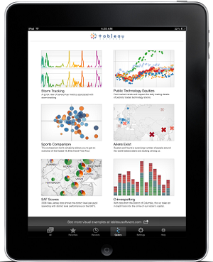 Tableau on iPad mobile dashboarding terms example